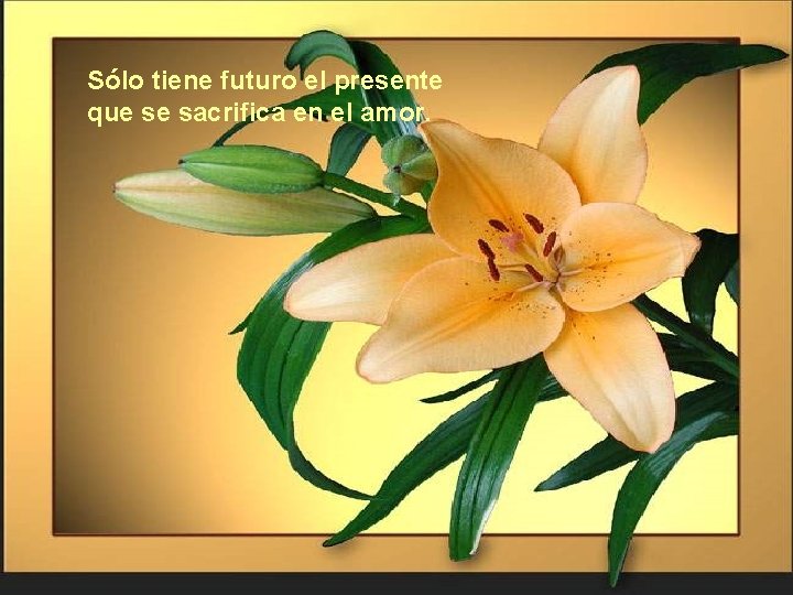 Sólo tiene futuro el presente que se sacrifica en el amor. 