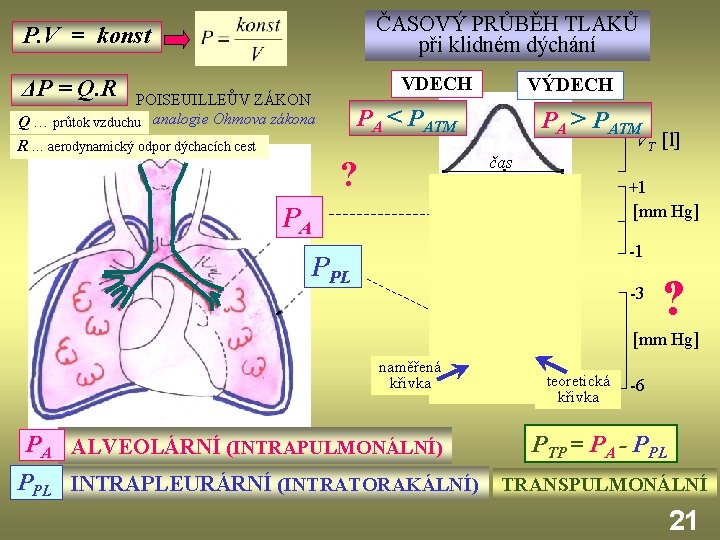 ČASOVÝ PRŮBĚH TLAKŮ při klidném dýchání P. V = konst VDECH ΔP = Q.