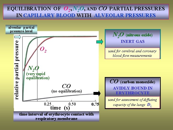 EQUILIBRATION OF O 2, N 2 O, AND CO PARTIAL PRESSURES IN CAPILLARY BLOOD