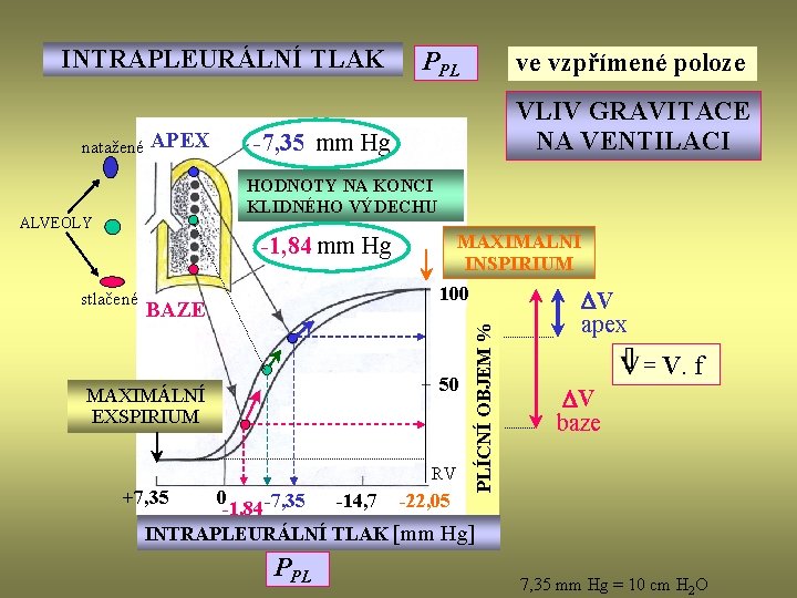 INTRAPLEURÁLNÍ TLAK natažené APEX PPL ve vzpřímené poloze VLIV GRAVITACE NA VENTILACI -7, 35