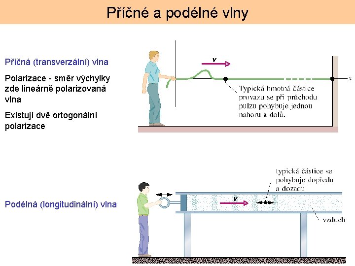Příčné a podélné vlny Příčná (transverzální) vlna Polarizace - směr výchylky zde lineárně polarizovaná