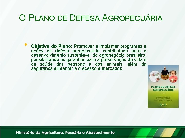 O PLANO DE DEFESA AGROPECUÁRIA • Objetivo do Plano: Promover e implantar programas e