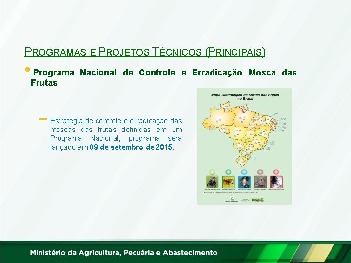 PROGRAMAS E PROJETOS TÉCNICOS (PRINCIPAIS) • Programa Nacional de Controle e Erradicação Mosca das