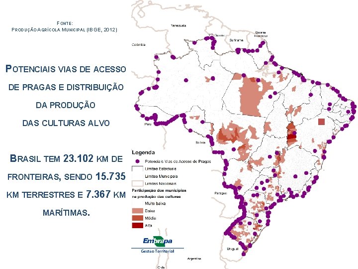 FONTE: PRODUÇÃO AGRÍCOLA MUNICIPAL (IBGE, 2012) POTENCIAIS VIAS DE ACESSO DE PRAGAS E DISTRIBUIÇÃO