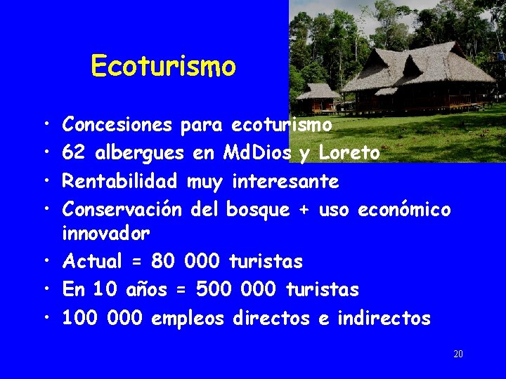 Ecoturismo • • Concesiones para ecoturismo 62 albergues en Md. Dios y Loreto Rentabilidad