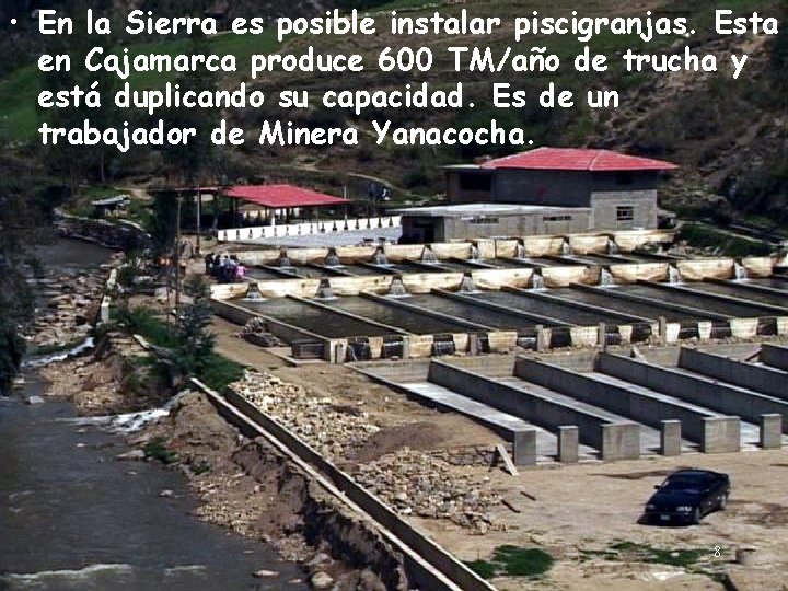  • En la Sierra es posible instalar piscigranjas. Esta en Cajamarca produce 600