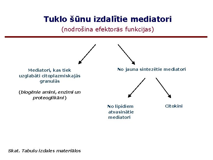 Tuklo šūnu izdalītie mediatori (nodrošina efektorās funkcijas) Mediatori, kas tiek uzglabāti citoplazmiskajās granulās No