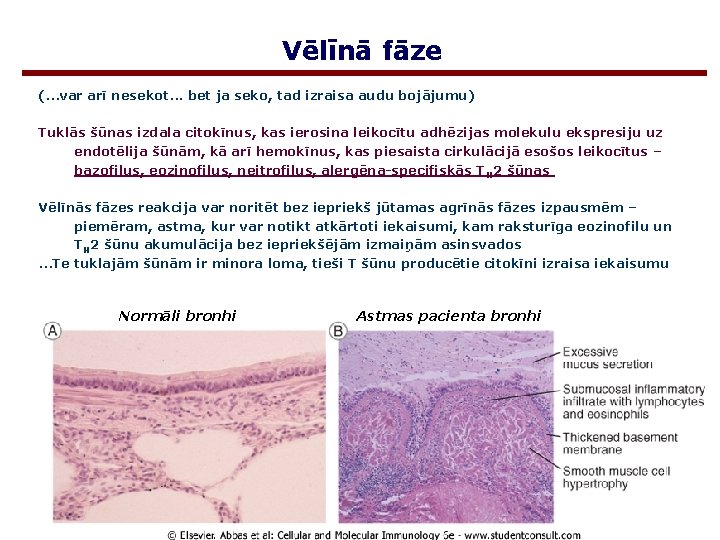 Vēlīnā fāze (. . . var arī nesekot. . . bet ja seko, tad