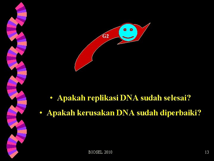G 2 • Apakah replikasi DNA sudah selesai? • Apakah kerusakan DNA sudah diperbaiki?
