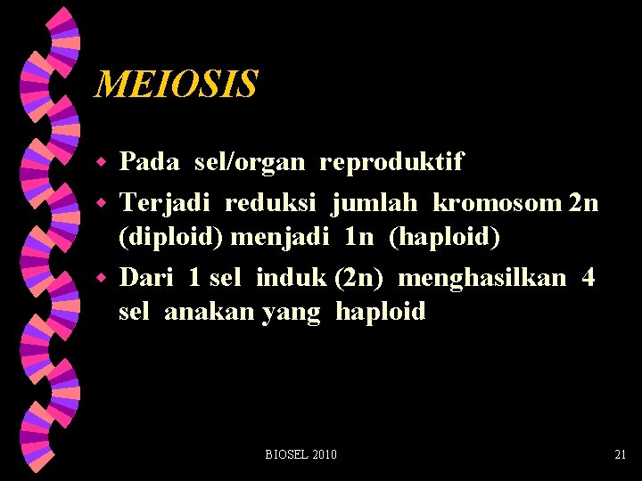 MEIOSIS Pada sel/organ reproduktif w Terjadi reduksi jumlah kromosom 2 n (diploid) menjadi 1