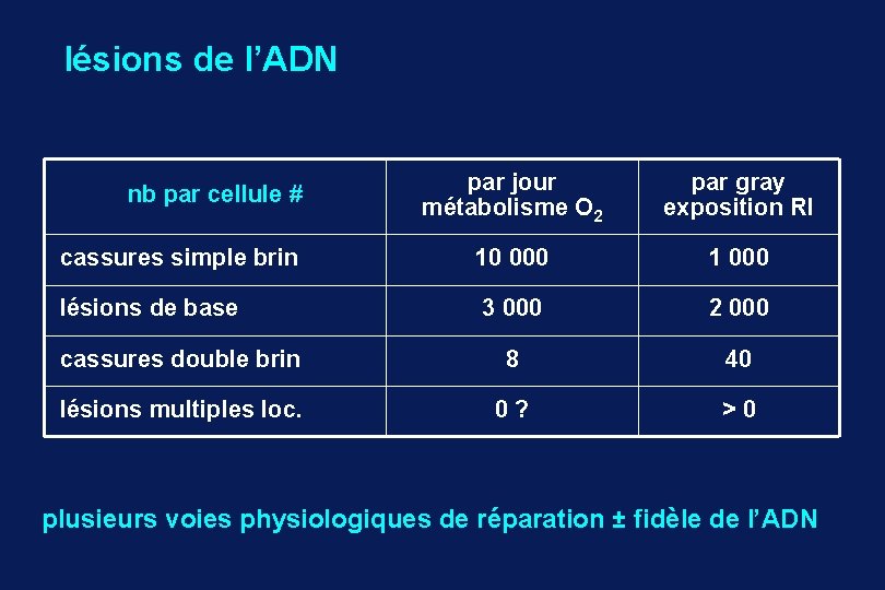 lésions de l’ADN par jour métabolisme O 2 par gray exposition RI cassures simple