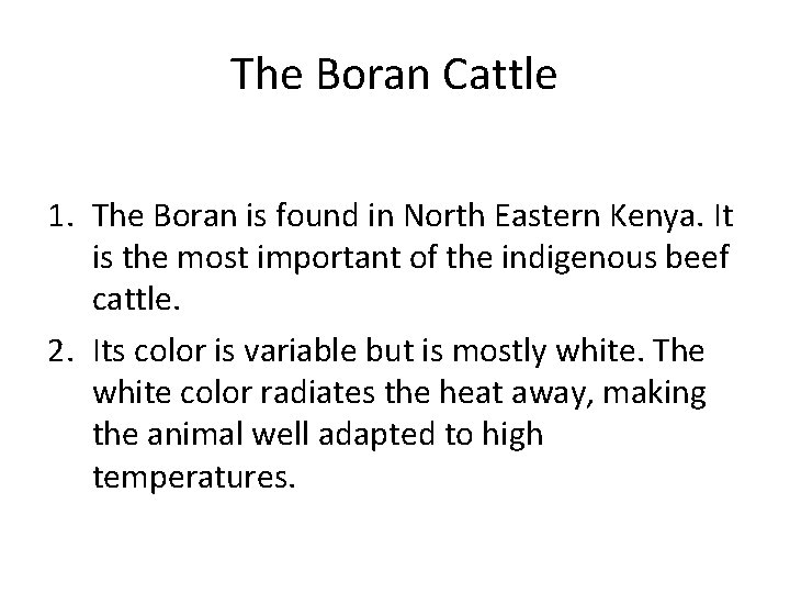 The Boran Cattle 1. The Boran is found in North Eastern Kenya. It is