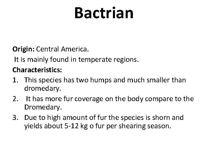 Bactrian Origin: Central America. It is mainly found in temperate regions. Characteristics: 1. This