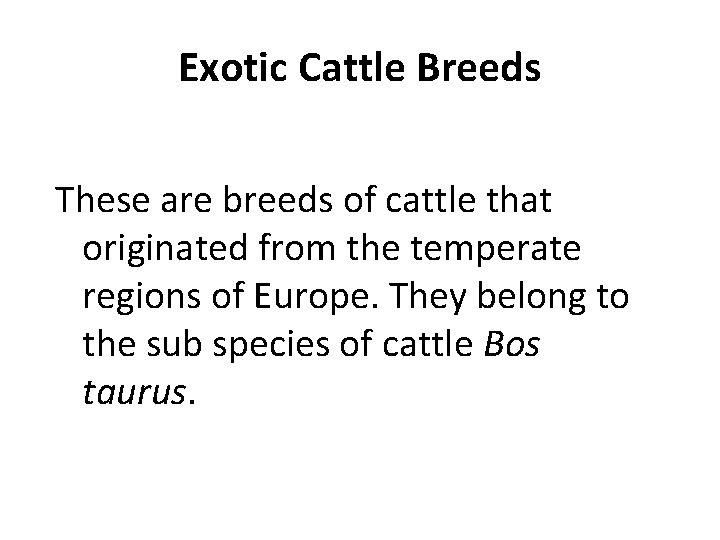 Exotic Cattle Breeds These are breeds of cattle that originated from the temperate regions