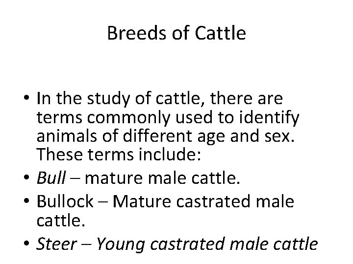 Breeds of Cattle • In the study of cattle, there are terms commonly used