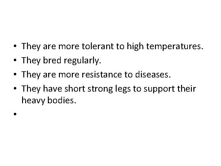 They are more tolerant to high temperatures. They bred regularly. They are more resistance