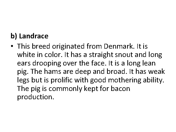 b) Landrace • This breed originated from Denmark. It is white in color. It