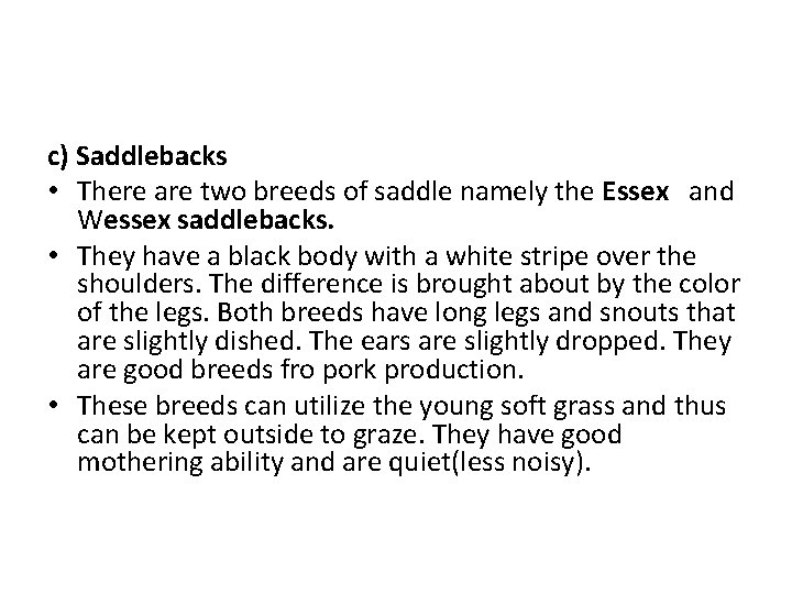 c) Saddlebacks • There are two breeds of saddle namely the Essex and Wessex