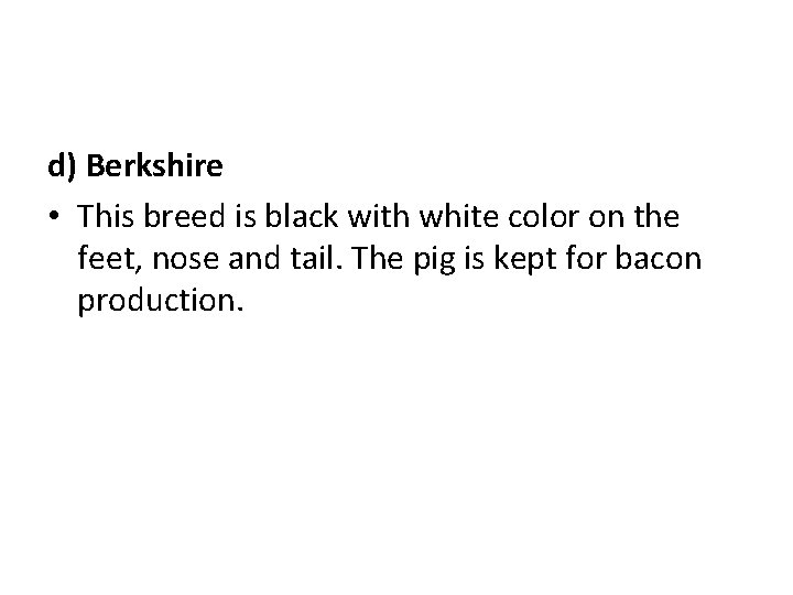 d) Berkshire • This breed is black with white color on the feet, nose