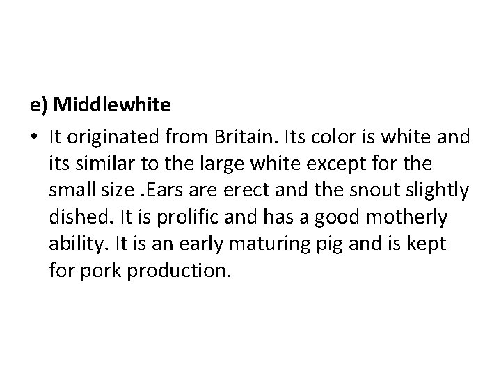 e) Middlewhite • It originated from Britain. Its color is white and its similar