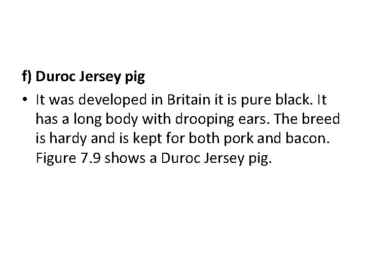 f) Duroc Jersey pig • It was developed in Britain it is pure black.