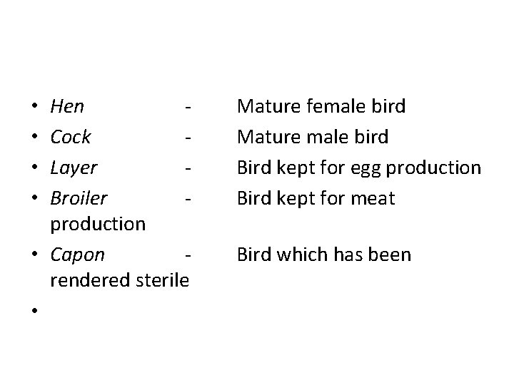 Hen Cock Layer Broiler production • Capon rendered sterile • • • Mature female