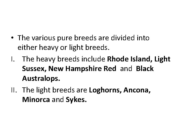  • The various pure breeds are divided into either heavy or light breeds.