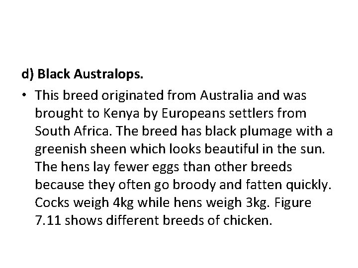 d) Black Australops. • This breed originated from Australia and was brought to Kenya