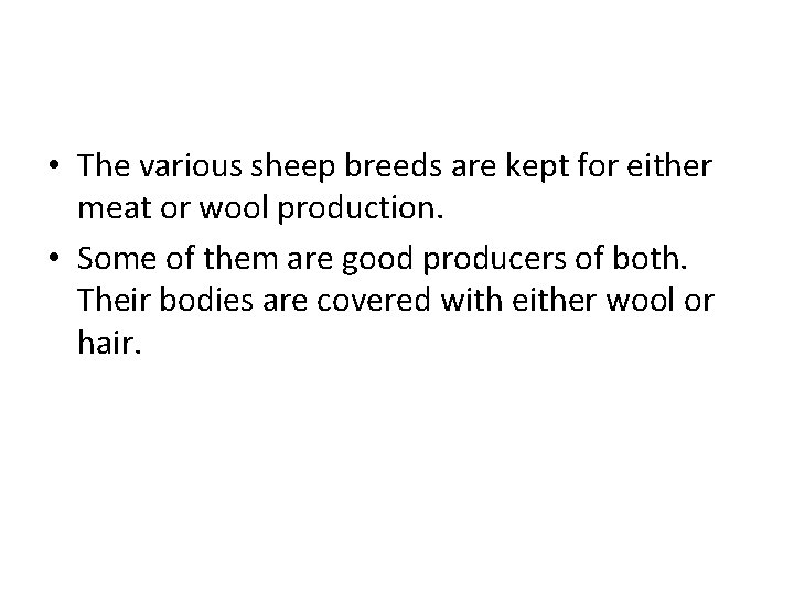  • The various sheep breeds are kept for either meat or wool production.