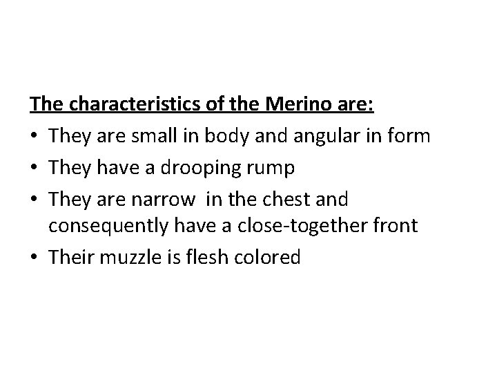 The characteristics of the Merino are: • They are small in body and angular