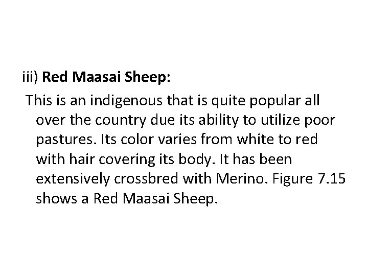 iii) Red Maasai Sheep: This is an indigenous that is quite popular all over