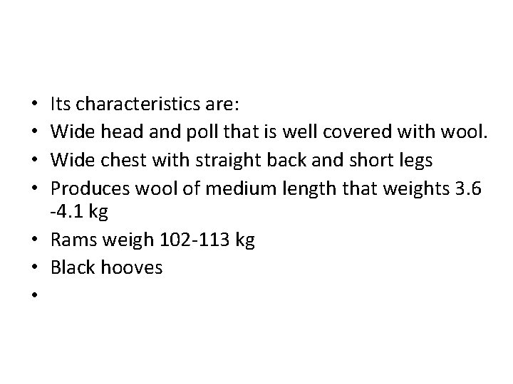 Its characteristics are: Wide head and poll that is well covered with wool. Wide