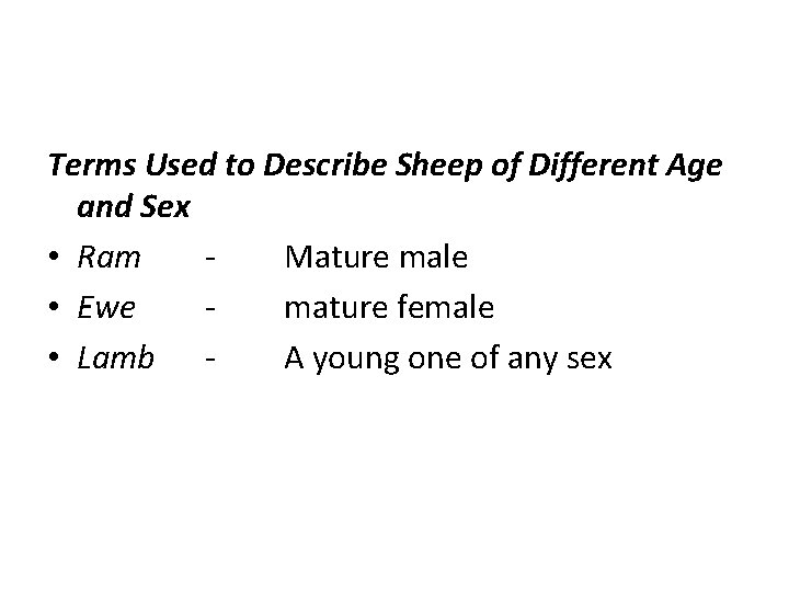 Terms Used to Describe Sheep of Different Age and Sex • Ram Mature male