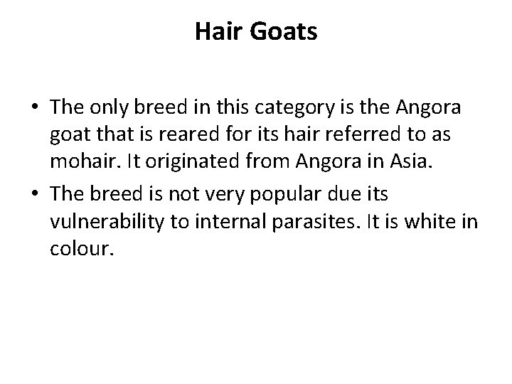 Hair Goats • The only breed in this category is the Angora goat that