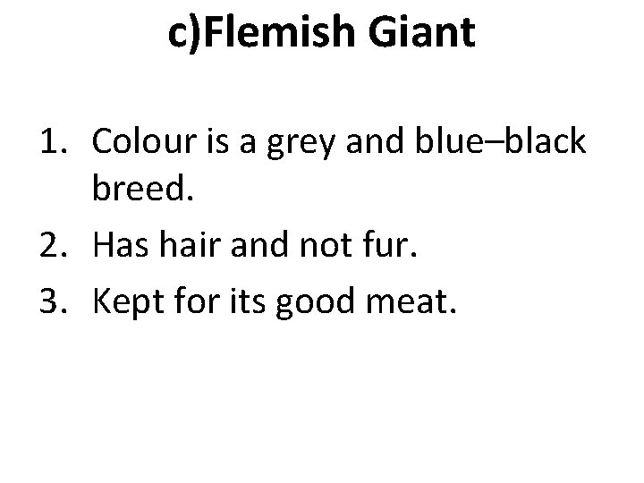 c)Flemish Giant 1. Colour is a grey and blue–black breed. 2. Has hair and