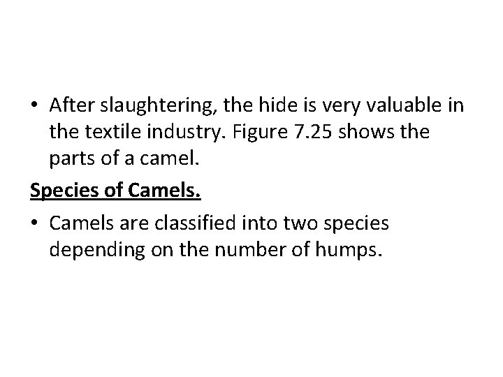  • After slaughtering, the hide is very valuable in the textile industry. Figure