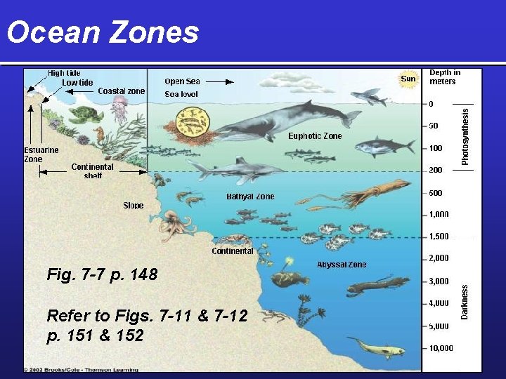 Ocean Zones Fig. 7 -7 p. 148 Refer to Figs. 7 -11 & 7