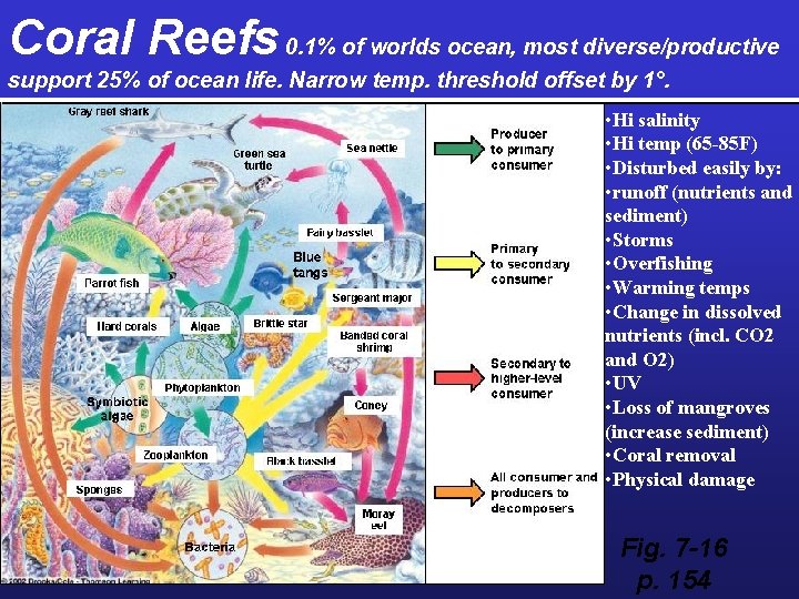 Coral Reefs 0. 1% of worlds ocean, most diverse/productive support 25% of ocean life.