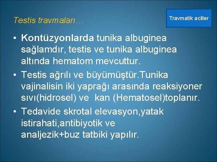 Testis travmaları… Travmatik aciller • Kontüzyonlarda tunika albuginea sağlamdır, testis ve tunika albuginea altında