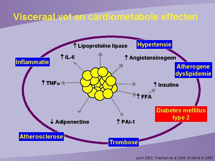 Visceraal vet en cardiometabole effecten Lipoproteïne lipase IL-6 Inflammatie TNFα Hypertensie Angiotensinogeen Atherogene dyslipidemie