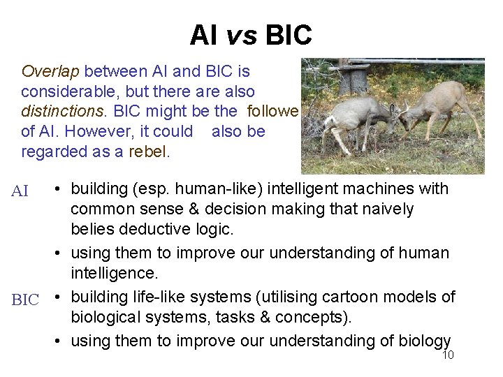 AI vs BIC Overlap between AI and BIC is considerable, but there also distinctions.