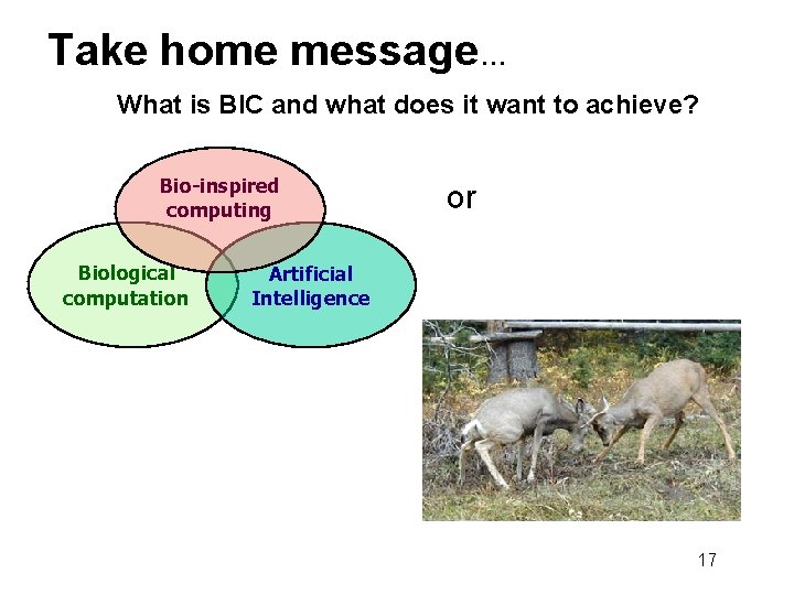 Take home message. . . What is BIC and what does it want to