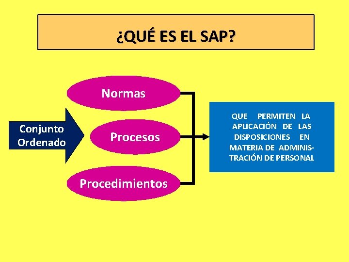 ¿QUÉ ES EL SAP? Normas Conjunto Ordenado Procesos Procedimientos QUE PERMITEN LA APLICACIÓN DE
