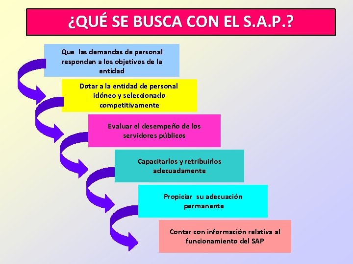 ¿QUÉ SE BUSCA CON EL S. A. P. ? Que las demandas de personal