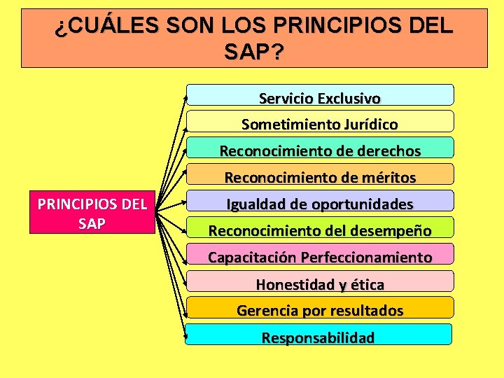 ¿CUÁLES SON LOS PRINCIPIOS DEL SAP? Servicio Exclusivo Sometimiento Jurídico Reconocimiento de derechos Reconocimiento