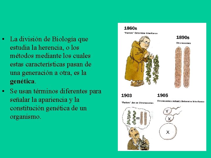  • La división de Biología que estudia la herencia, o los métodos mediante