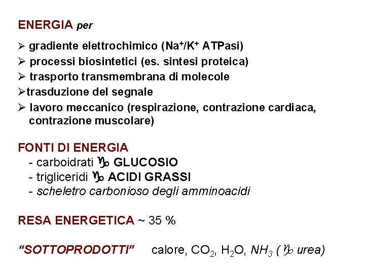 ENERGIA per Ø gradiente elettrochimico (Na+/K+ ATPasi) Ø processi biosintetici (es. sintesi proteica) Ø