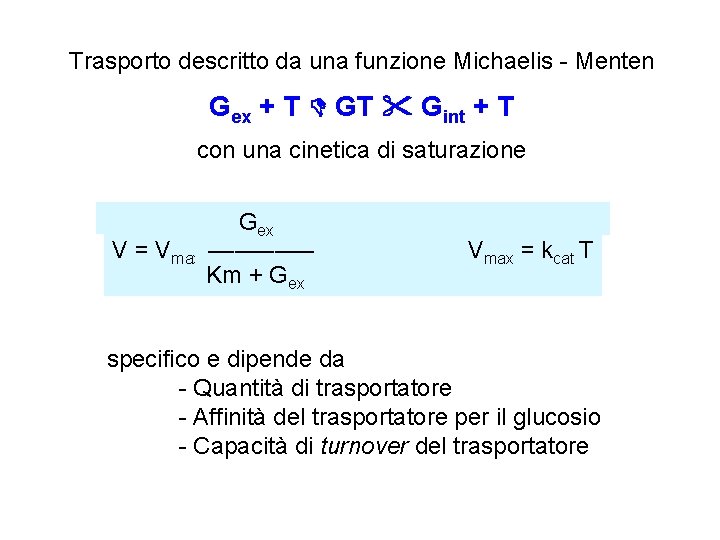 Trasporto descritto da una funzione Michaelis - Menten Gex + T Gint + T