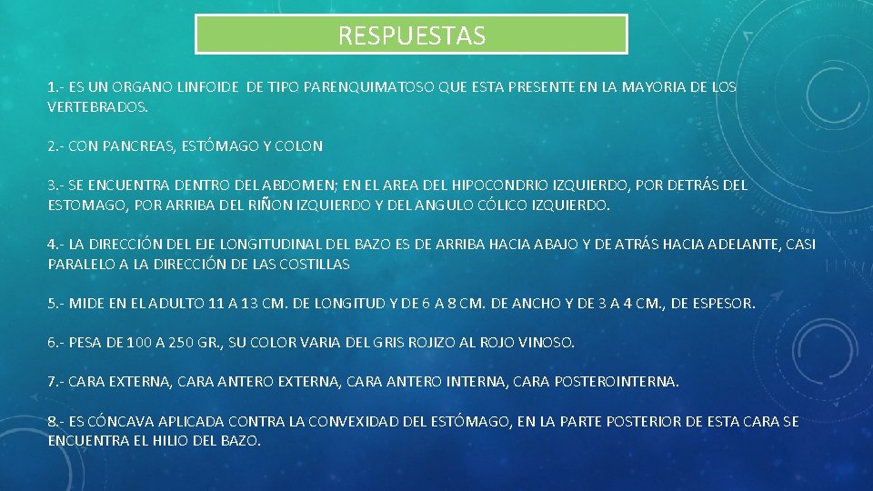 RESPUESTAS 1. - ES UN ORGANO LINFOIDE DE TIPO PARENQUIMATOSO QUE ESTA PRESENTE EN