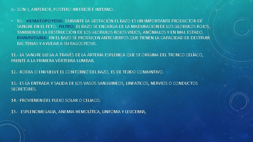9. - SON 3, ANTERIOR, POSTERO INFERIOR E INTERNO. • 10. - HEMATOPOYESIS: DURANTE